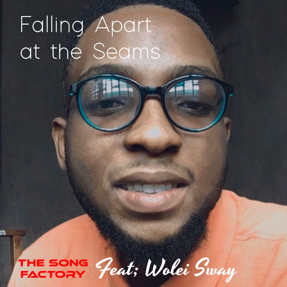 Falling Apart at the Seamsimg